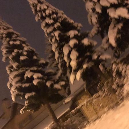 Apartman Milica Kremna المظهر الخارجي الصورة